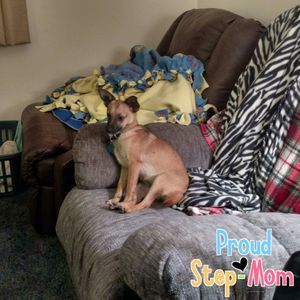 Meet your Posher, Douglas